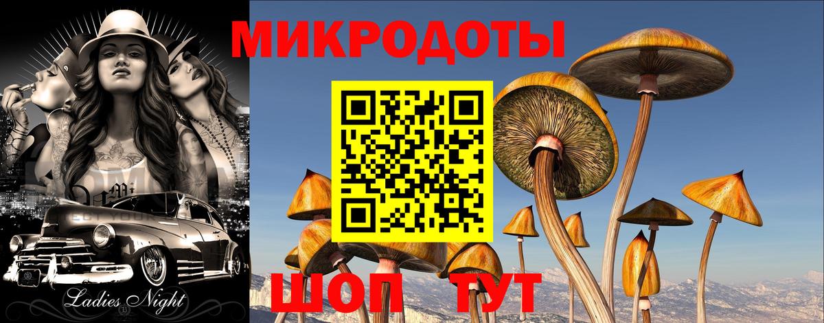 Барнаул  Галлюциногенные грибы Psilocybine cubensis  Галлюциногенные грибы Magic Shrooms  Вход с VPN 